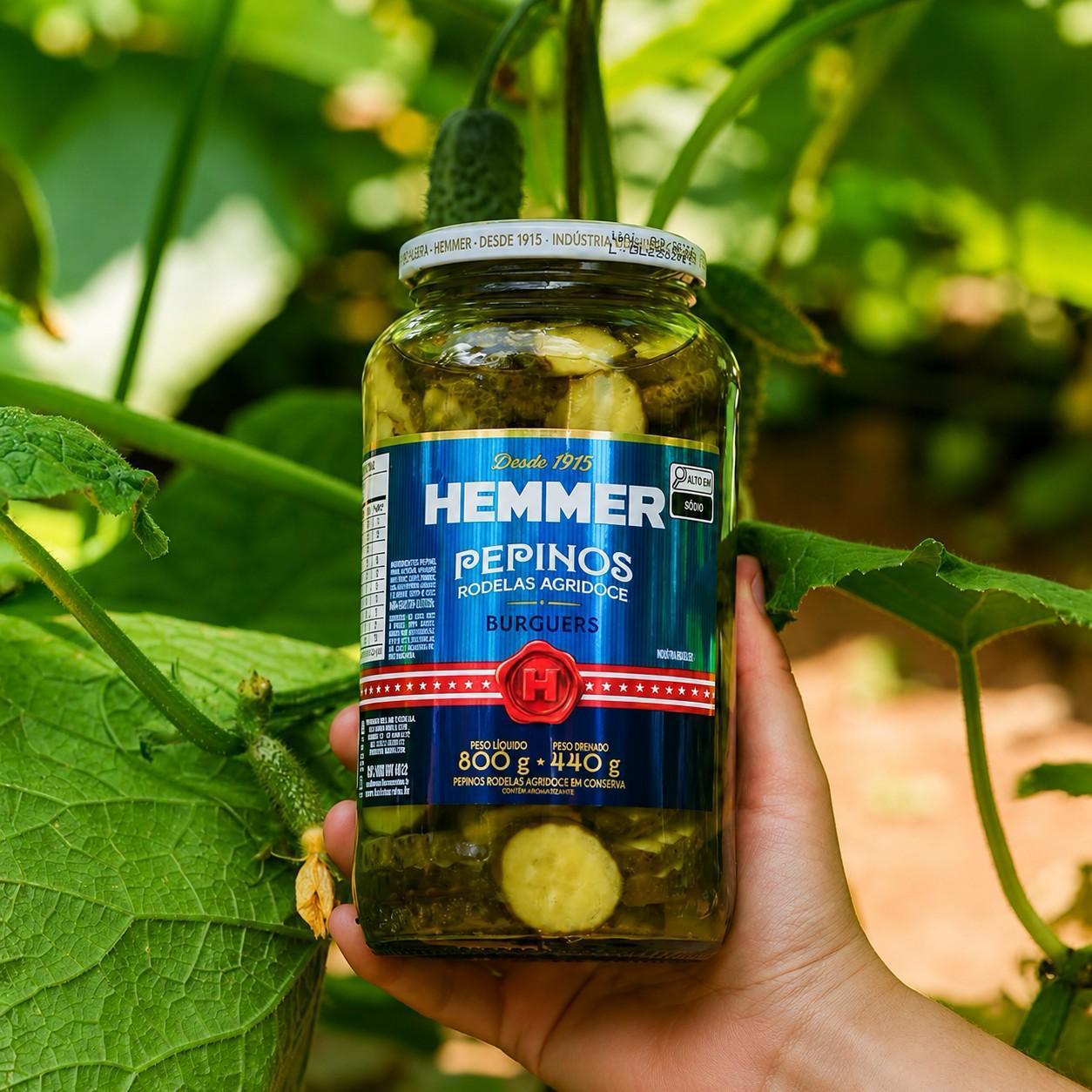 Pepinos em Conserva Agridoce Hemmer Vidro 440g